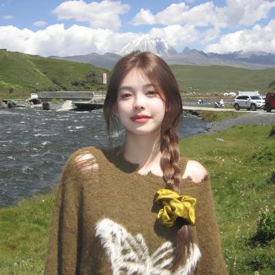 摄影师贝尔蒂与海豚零距离海报