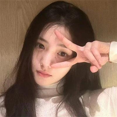 鬣狗之路海报