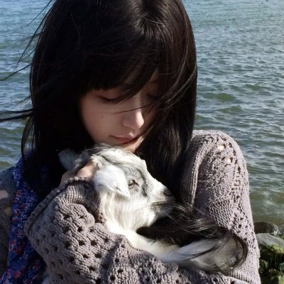 宏观世界海报